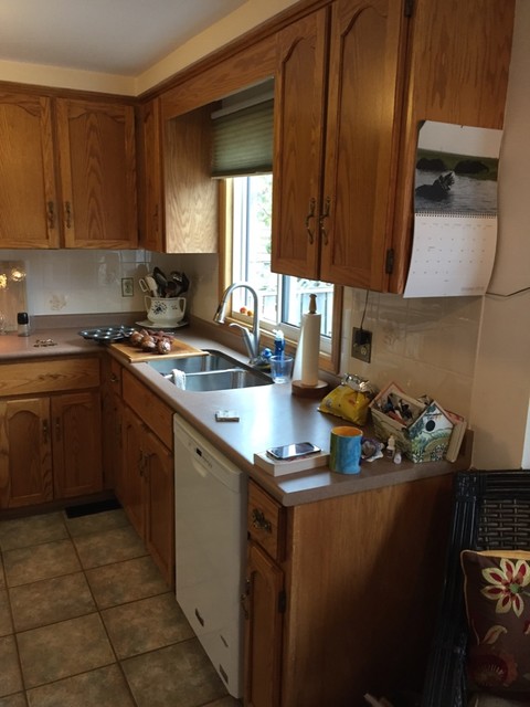 Kitchen Refresh (before) transitional