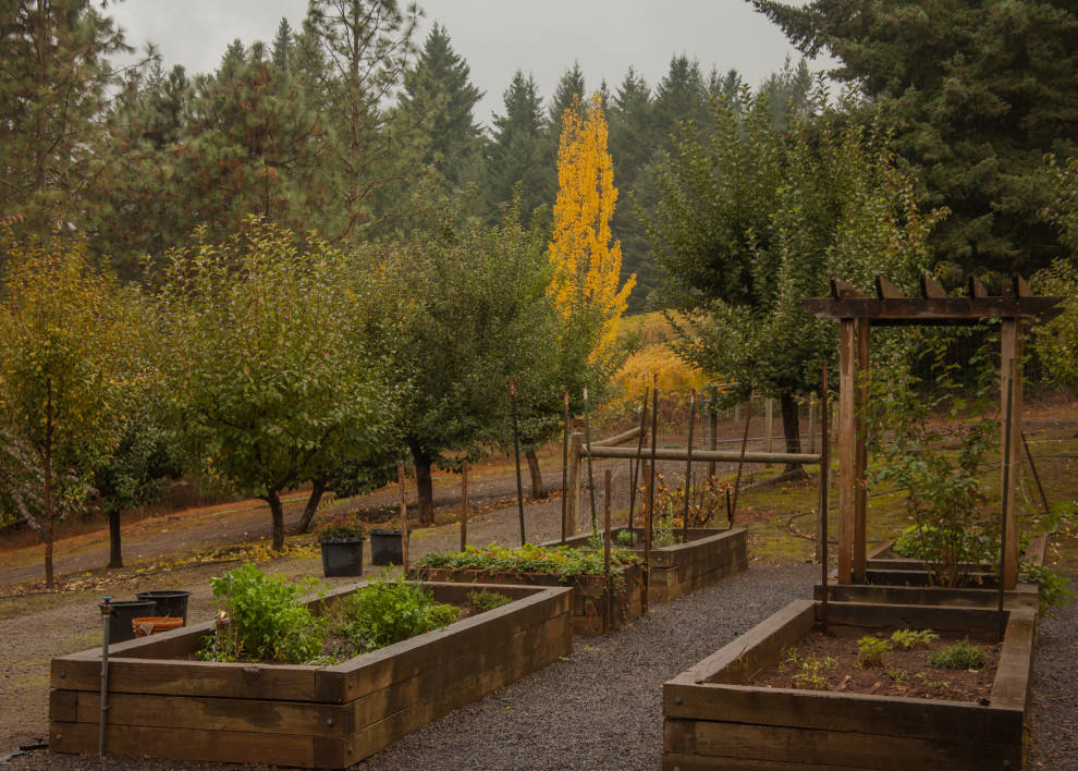 Rustikaler Kiesgarten im Herbst, hinter dem Haus mit Hochbeet, direkter Sonneneinstrahlung und Holzzaun in Portland
