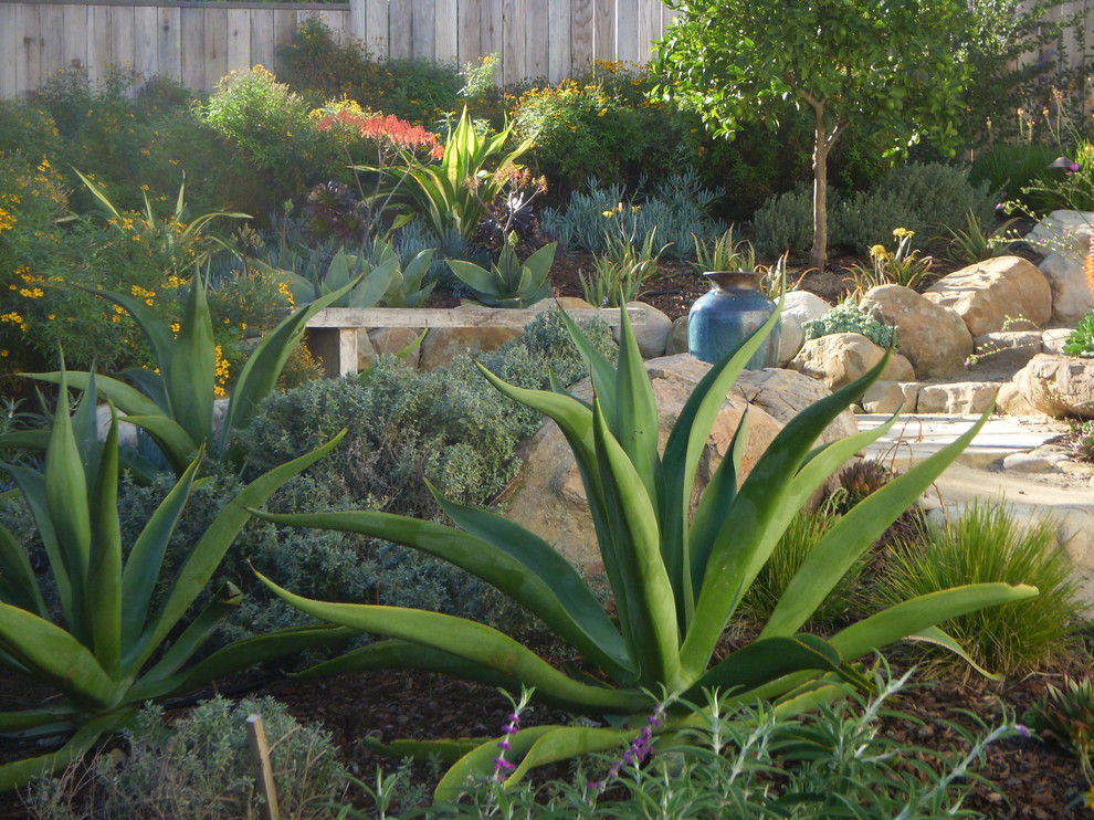 This is an example of a mediterranean sloped garden in Santa Barbara.