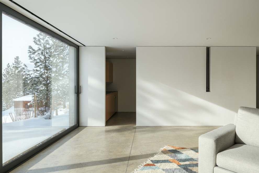 Свежая идея для дизайна: подвал среднего размера в стиле рустика с выходом наружу, белыми стенами, бетонным полом и серым полом - отличное фото интерьера