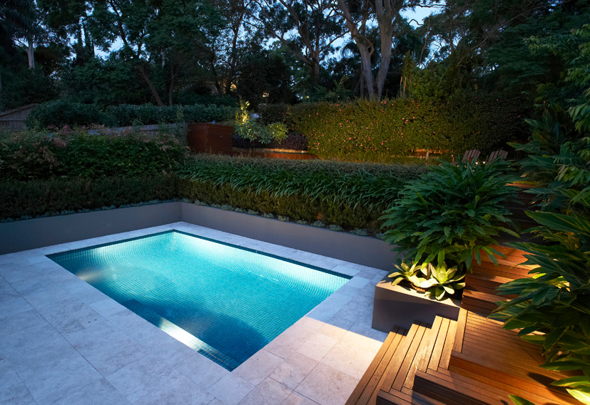 Transitional pool in Sydney.