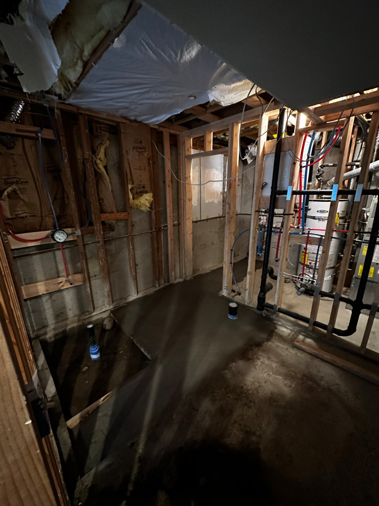 Federal Way Basement Remodel