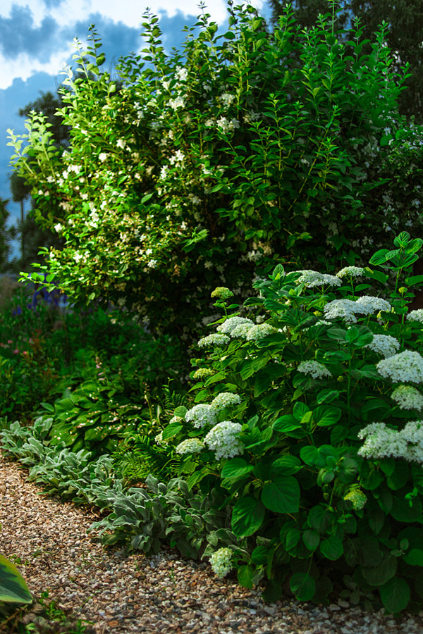 Романтический сад