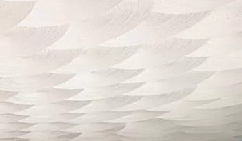Textured Swirl Ceilings