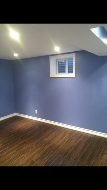 Basement Renovation