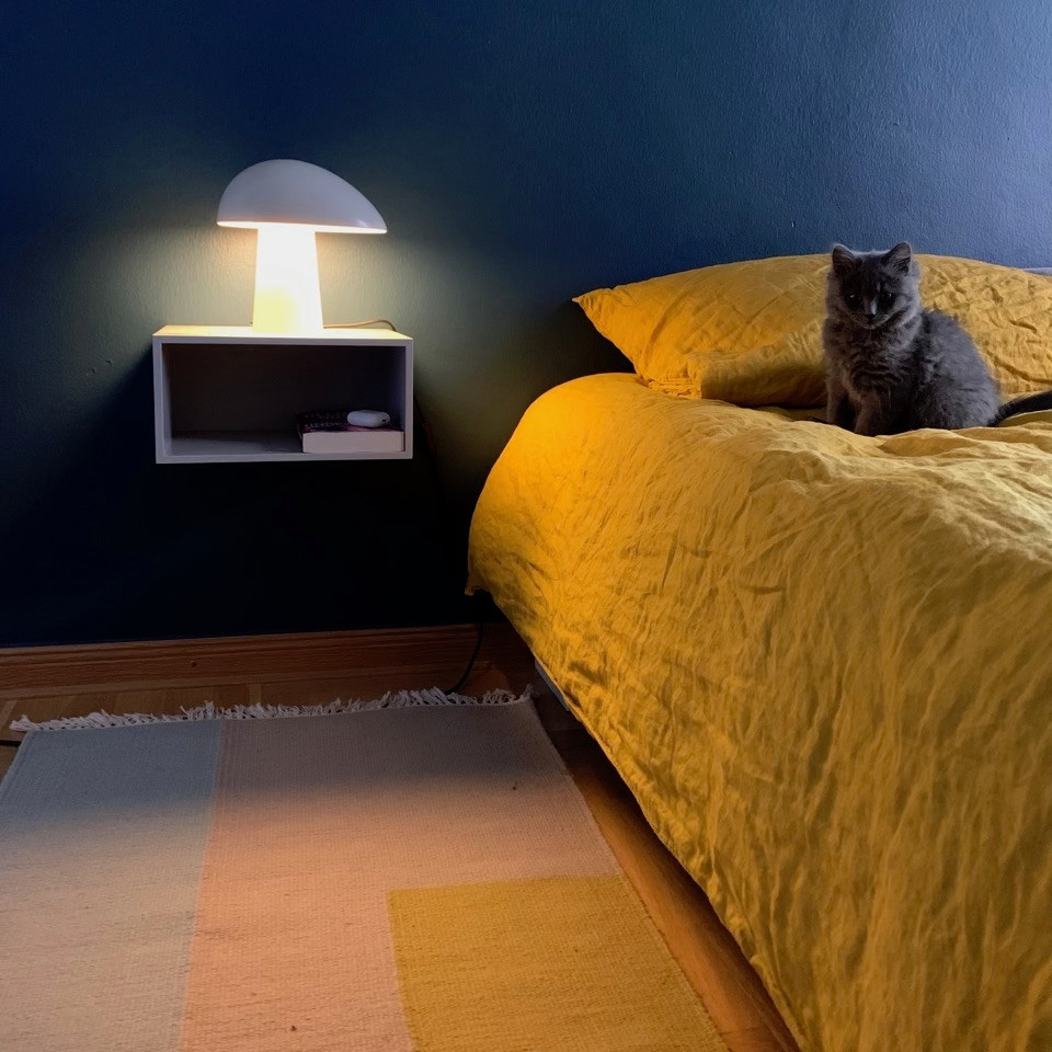Foto de habitación de invitados minimalista pequeña con paredes azules, suelo de madera en tonos medios y suelo marrón