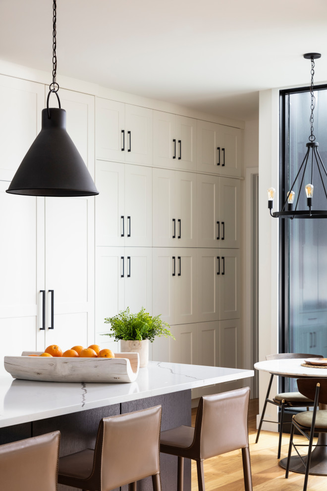 Transitional home design photo in Chicago