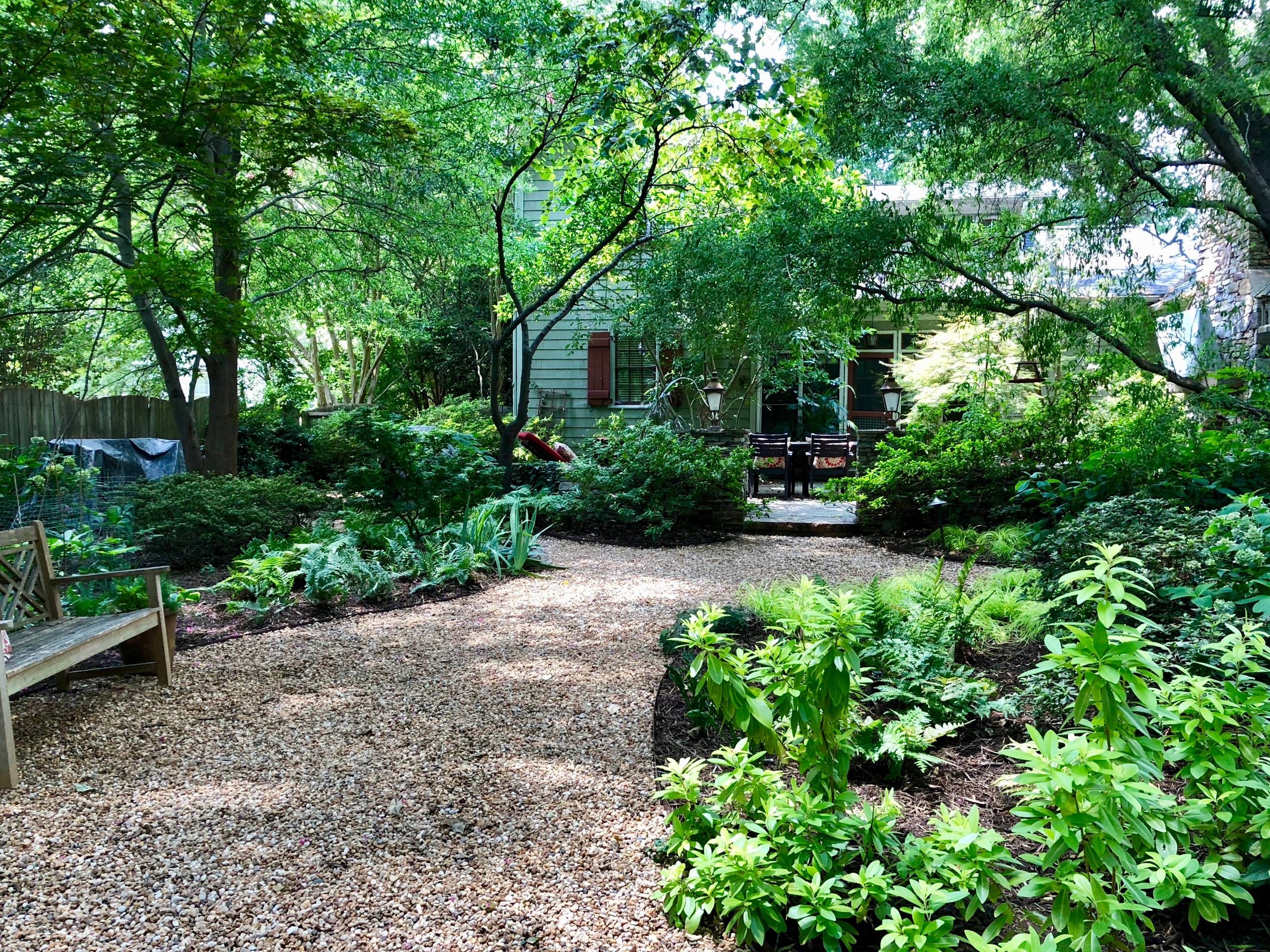 Tranquil Urban Backyard