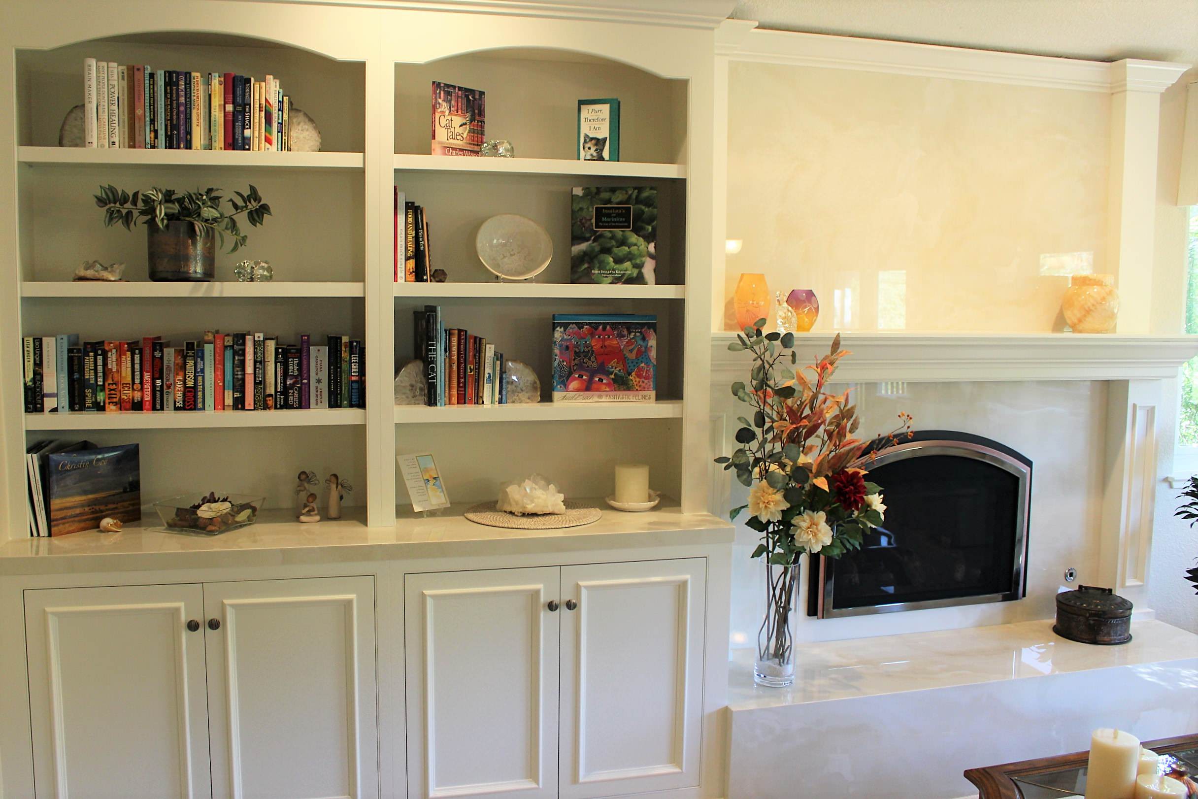 Bookcase and Fireplace