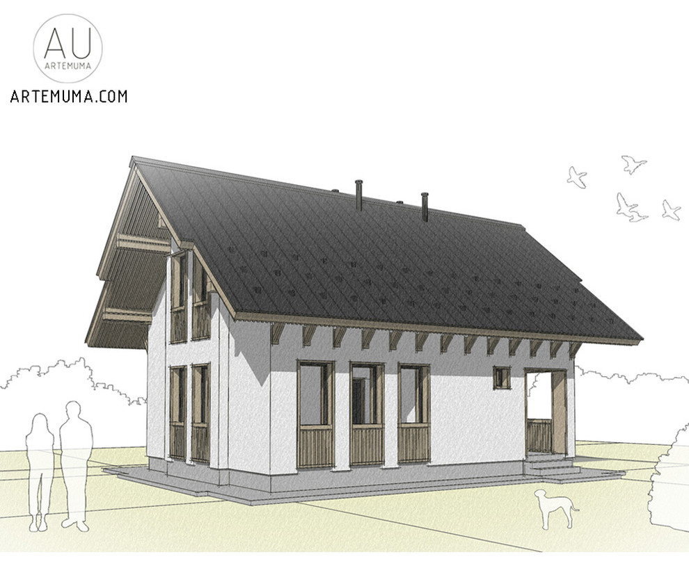 Дом в Подмосковье (3)