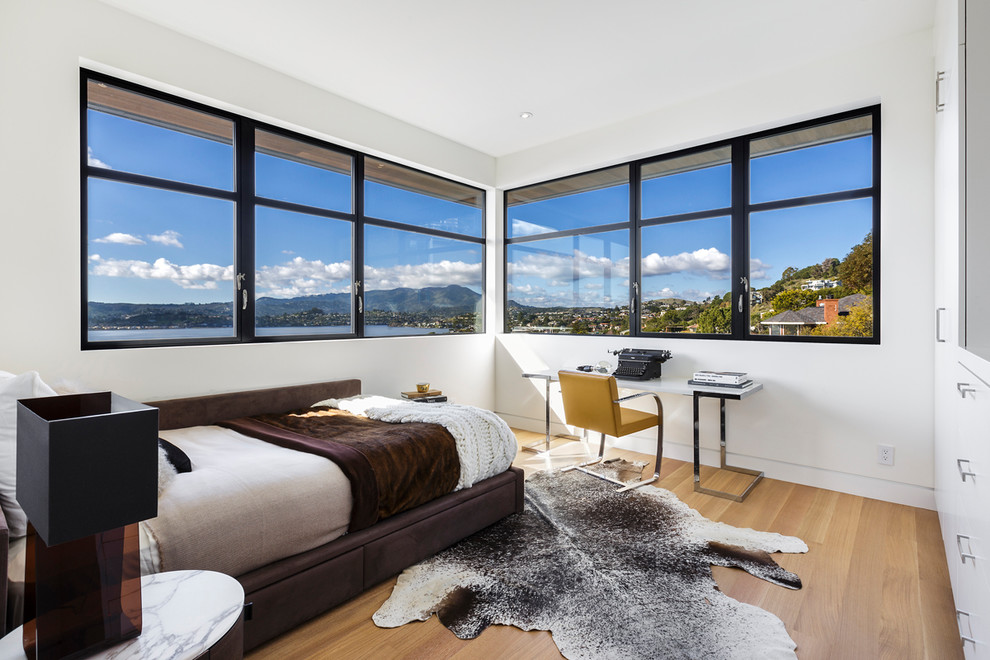 Design ideas for a contemporary bedroom in San Francisco with white walls, light hardwood floors and brown floor.