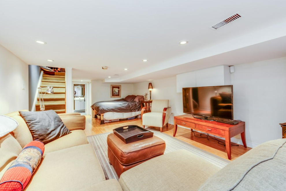 Transitional basement photo in Toronto