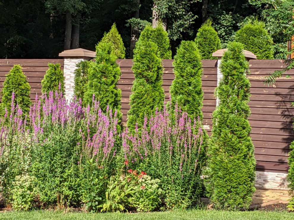 Сад принцессы