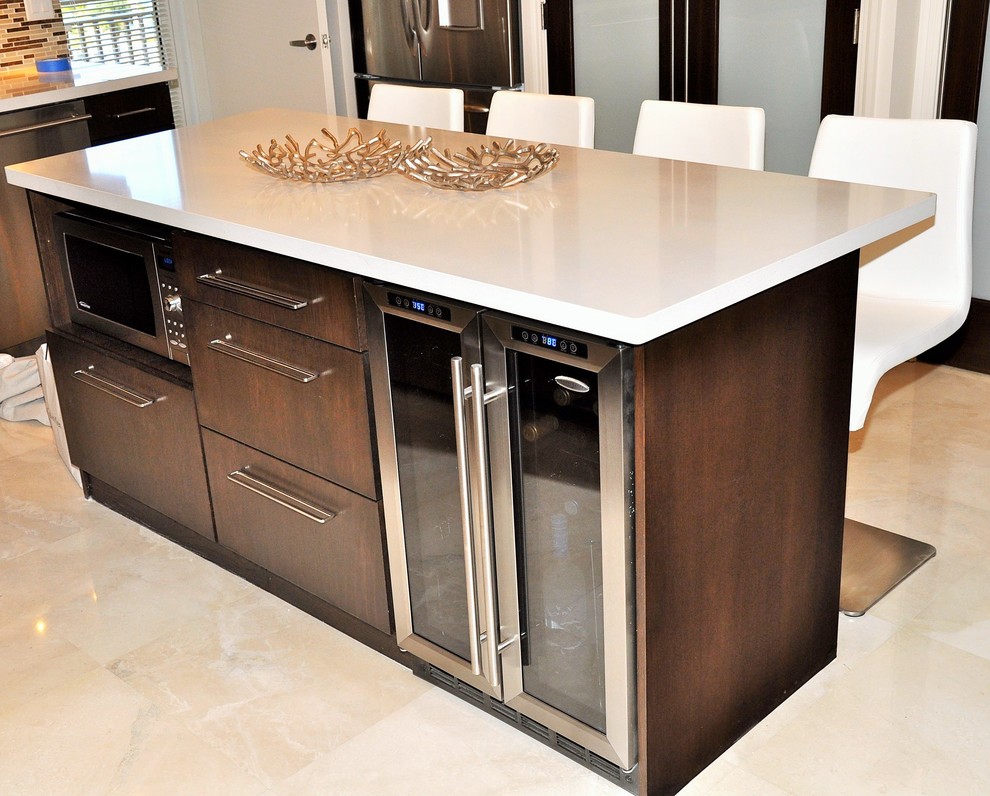 Kitchen - transitional kitchen idea in Miami