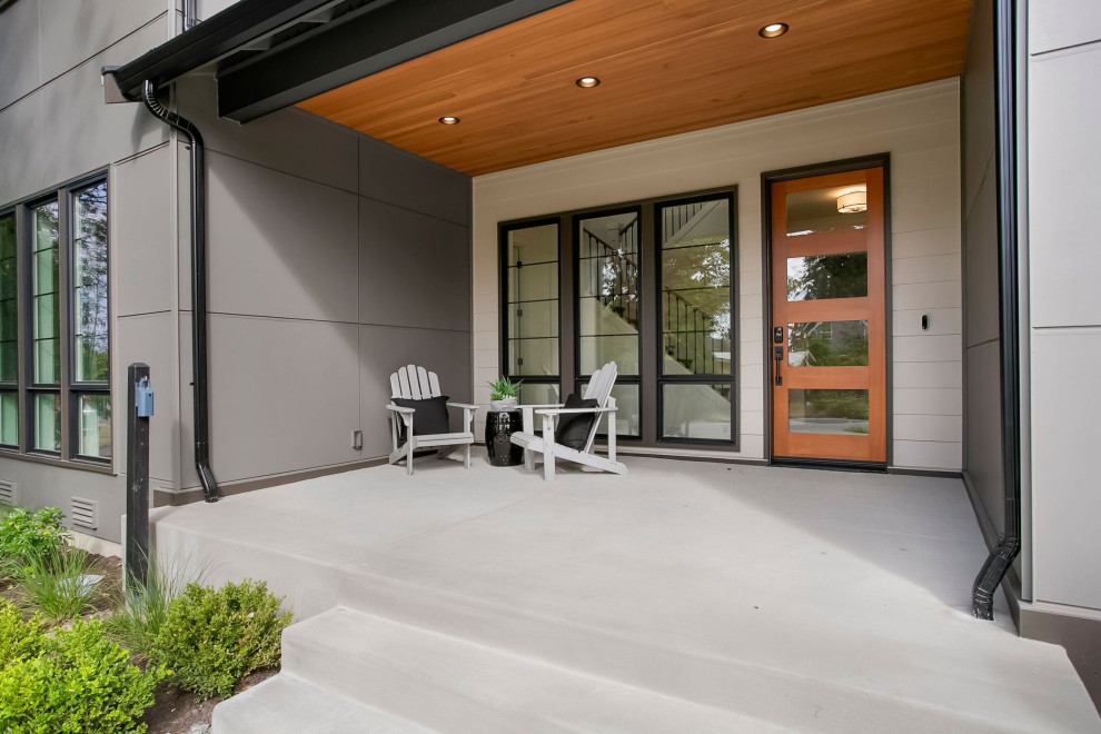 Idées déco pour un grand porche d'entrée de maison contemporain avec une dalle de béton et une extension de toiture.