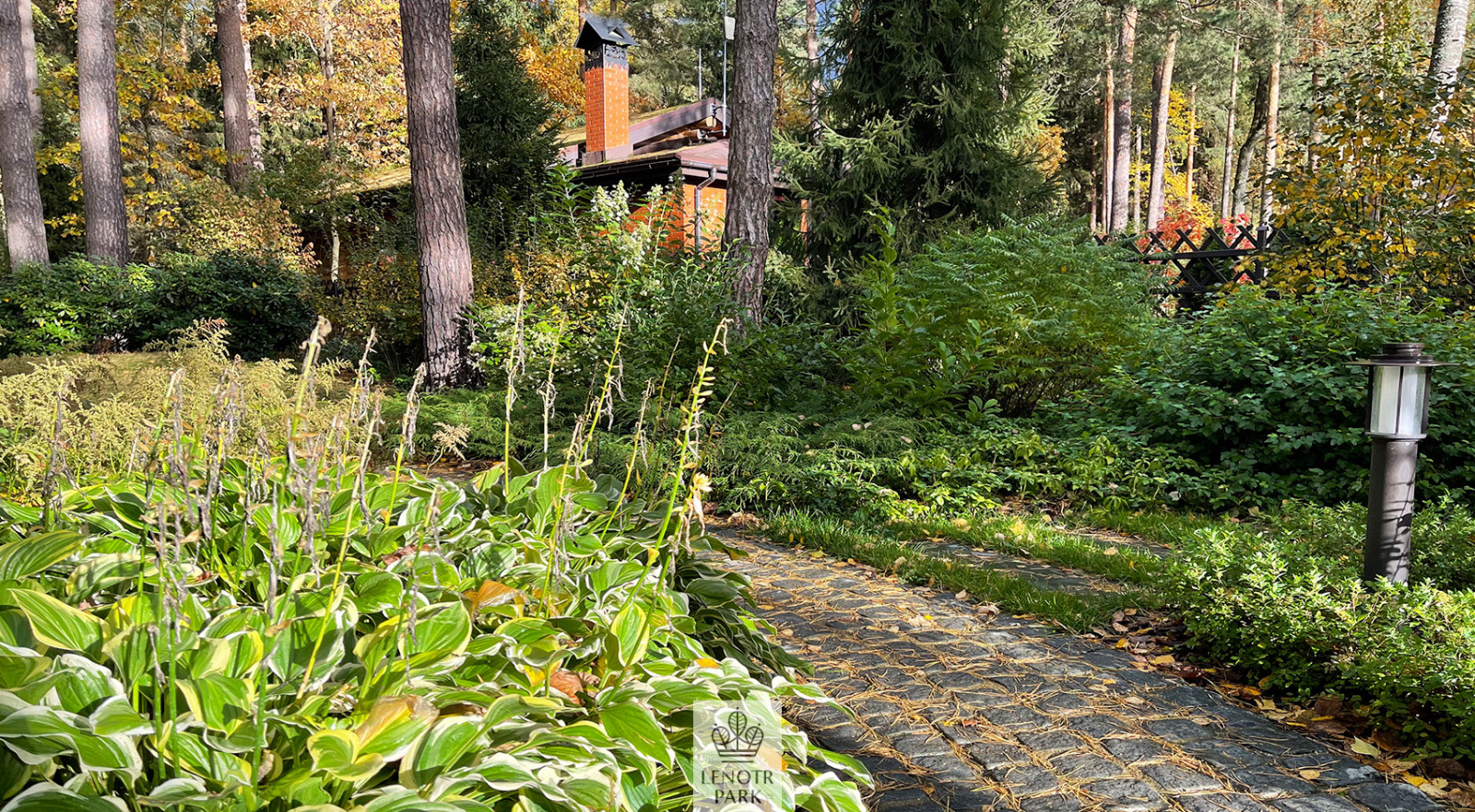 Заповедный бор