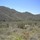 bradshaw_mountain