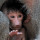 Last commented by BobbinHead Baboon