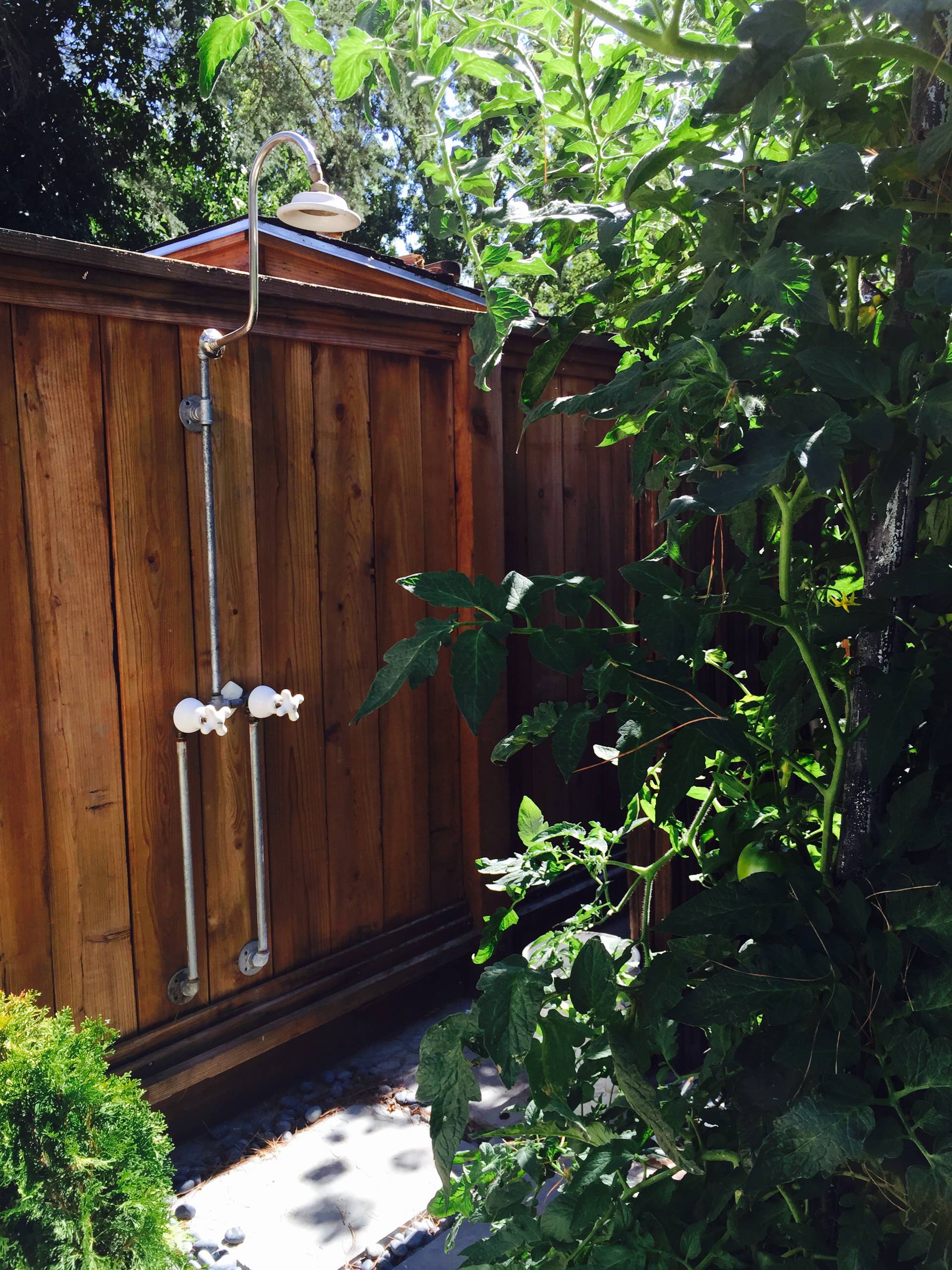 Backyard Garden Tomatoes & Outdoor Shower
