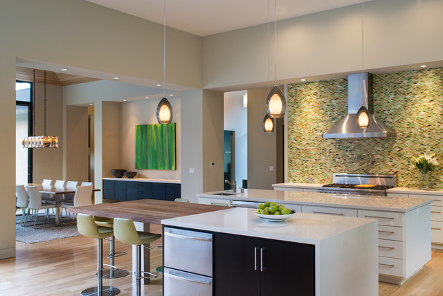 Contemporary Kitchen trendy-koekken