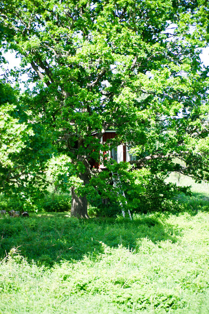 Koja scandinavian-garden
