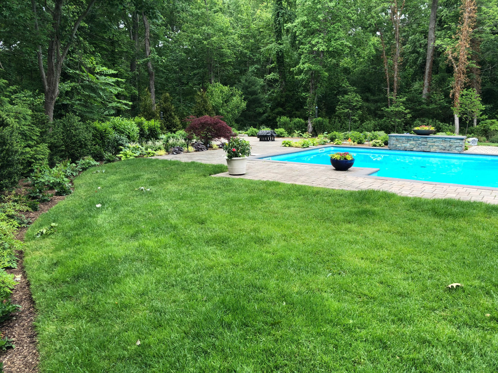 Residential Backyard Pool and Woodland Border Planting Design