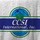 CCSI International, Inc