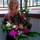 tatyana_usanova