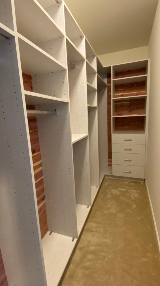 Mid-sized walk-in wardrobe in Boston with flat-panel cabinets, grey cabinets and carpet.