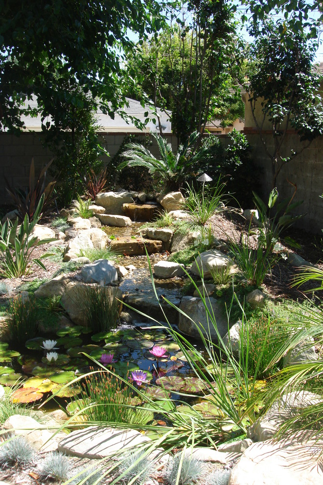 Eclectic garden in Los Angeles.