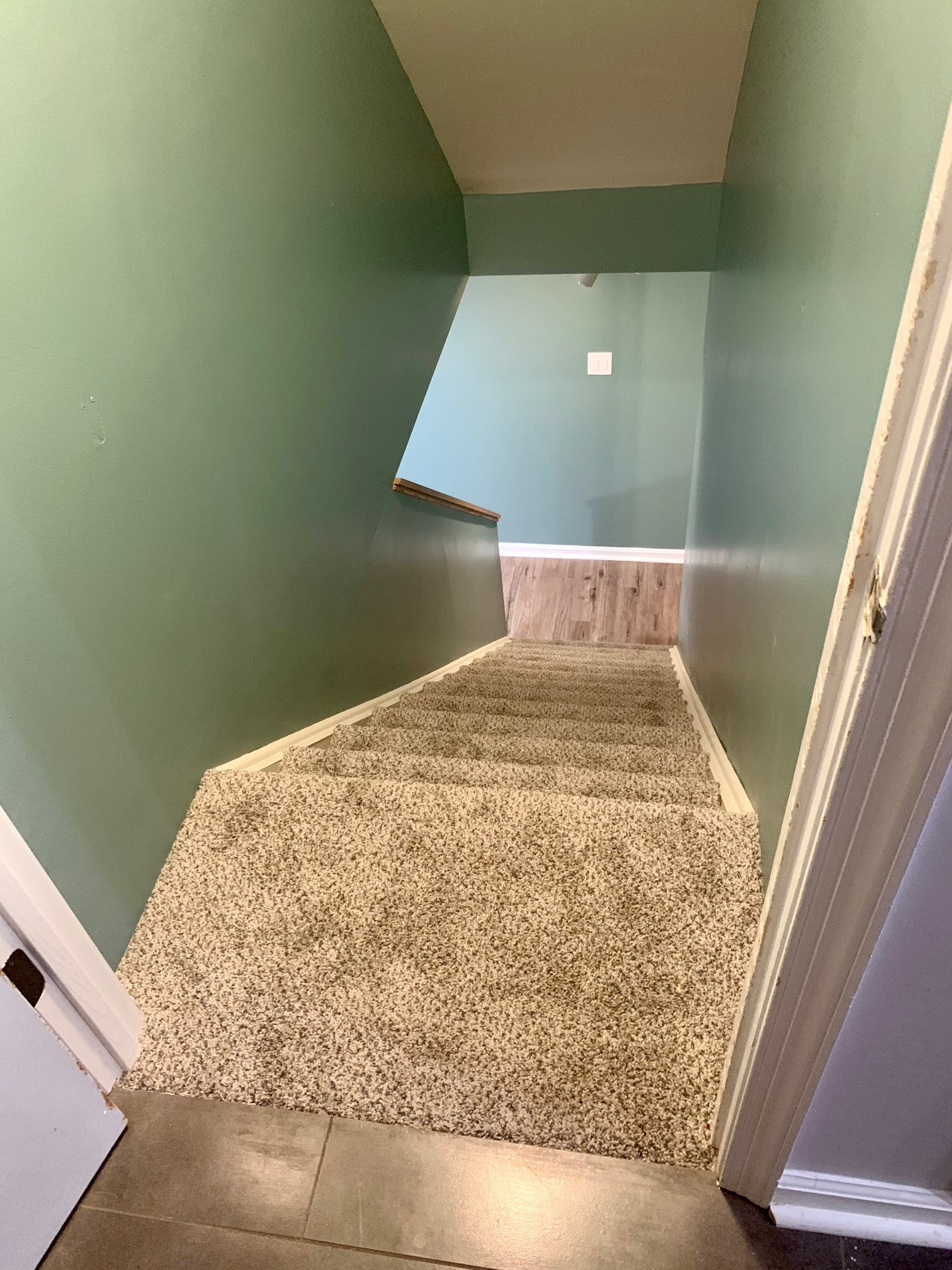Carpet