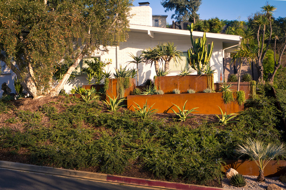 Photo of a large contemporary front yard patio in Los Angeles with a container garden.