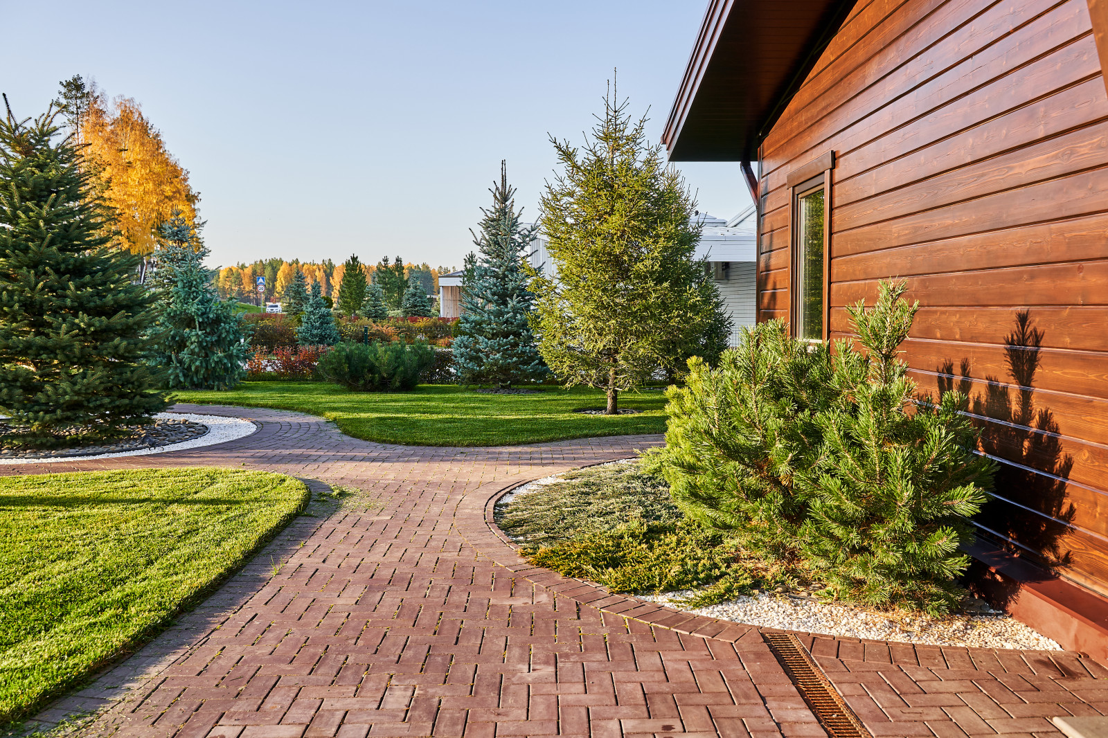 Участок с мужским характером