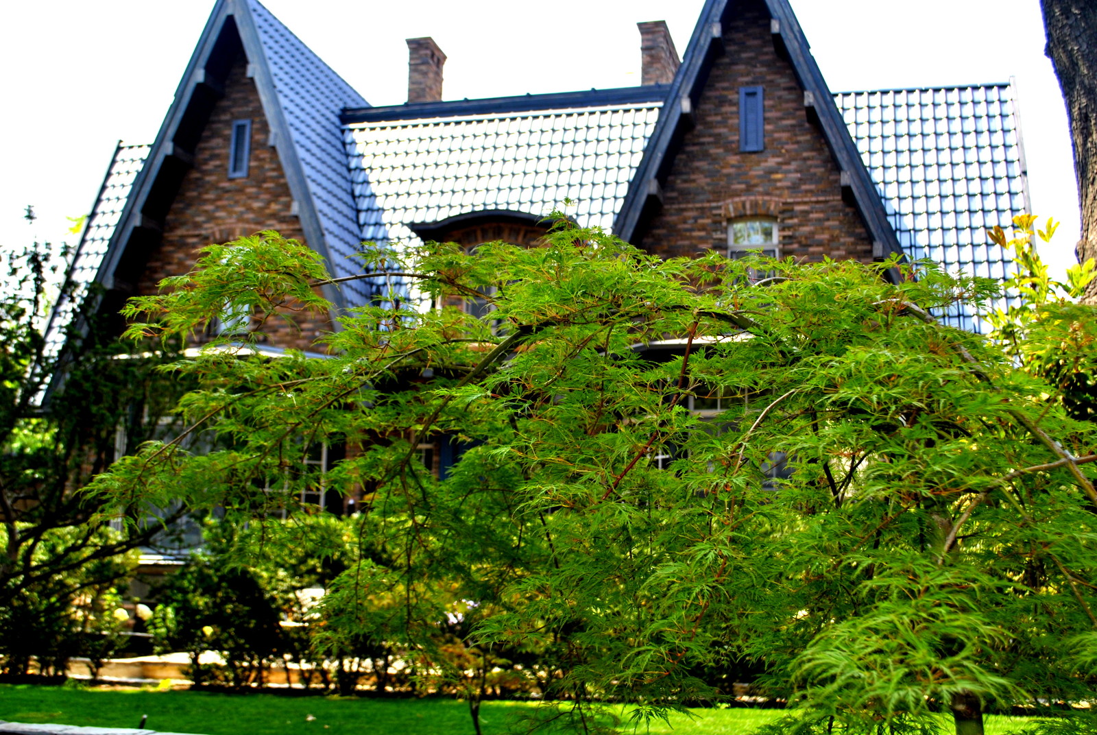 Сад с японскими интонациями.