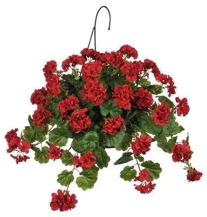 Artificial Red Geranium Hanging Basket Contemporary Artificial Red Geranium Hanging Basket Contemporary Flower Arrangements By House Of Silk Flowers Inc