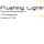 Flushing Lighting Fixture Co Inc