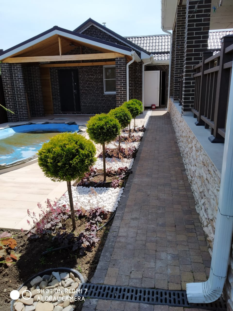 Чупа-чупсы.