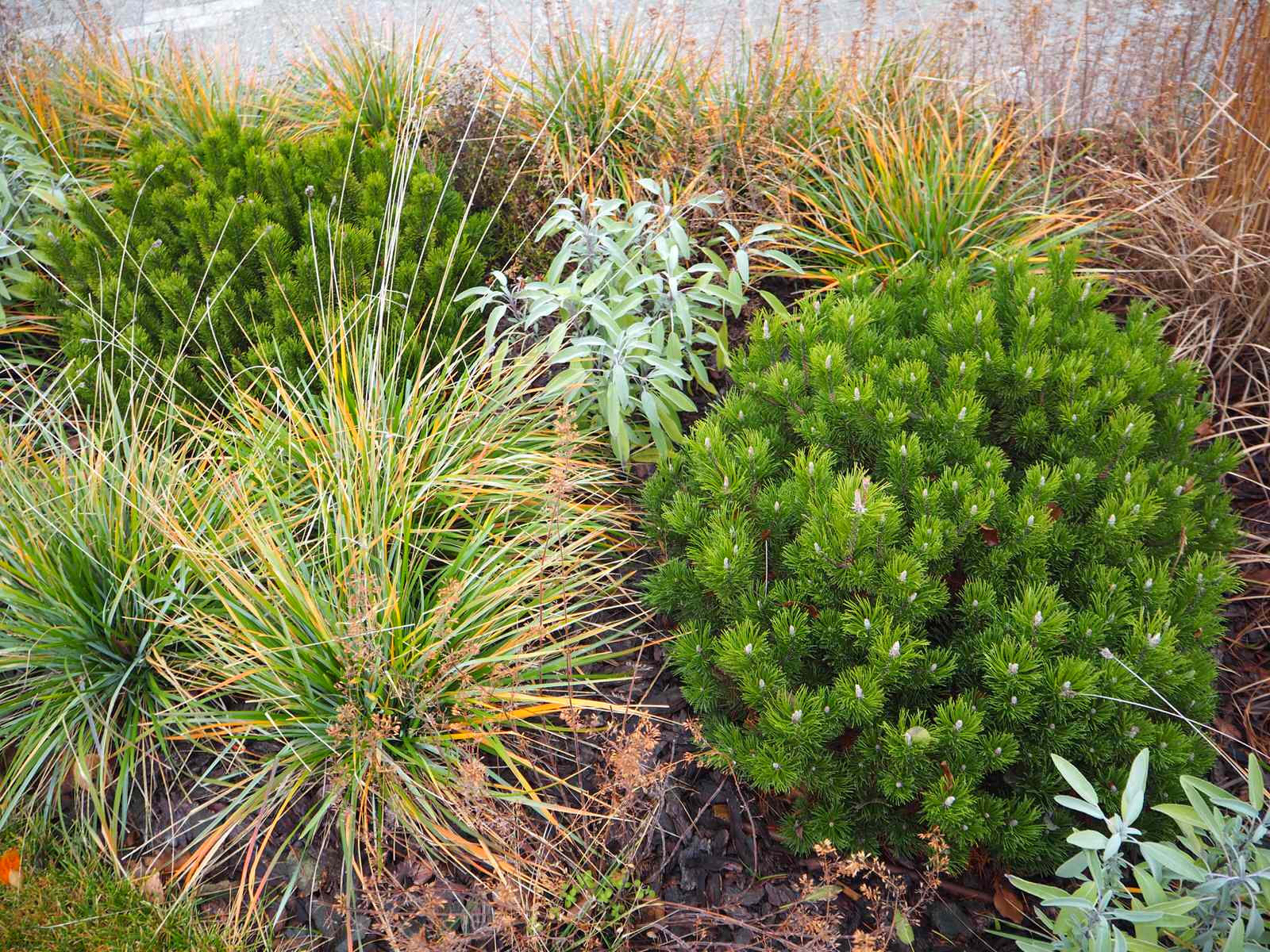 Сад с видом на Волгу