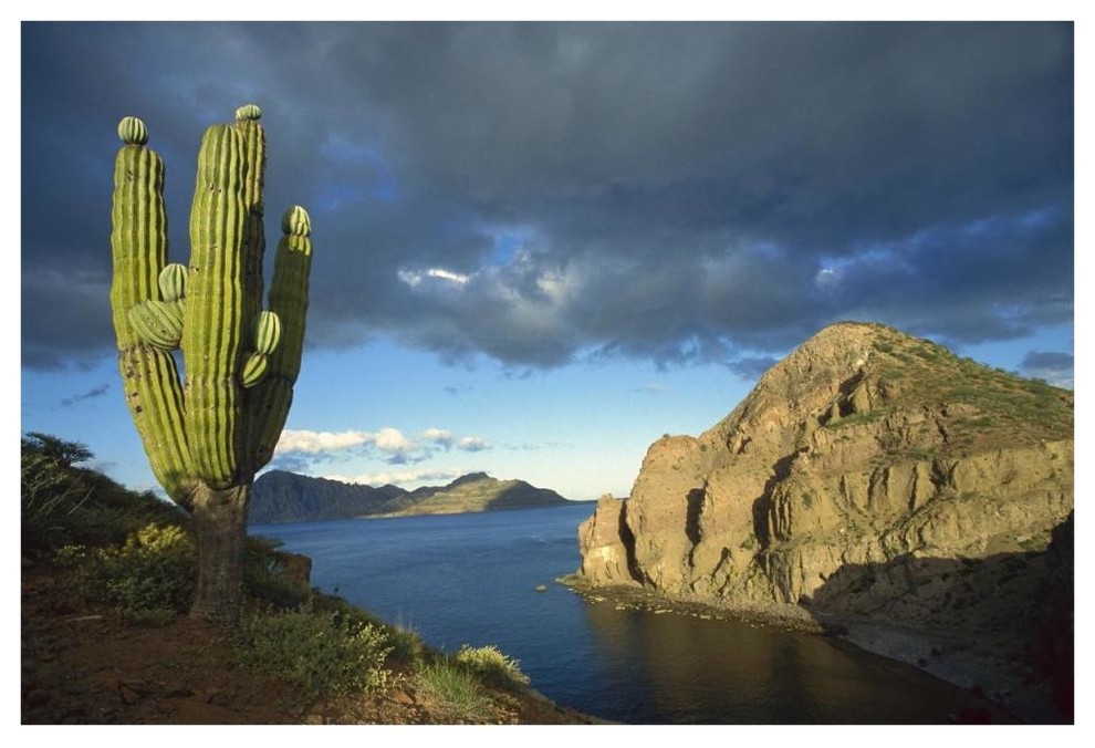 "Danzante Island, Sea of Cortez, Baja California, Mexico" Wall Art, 62