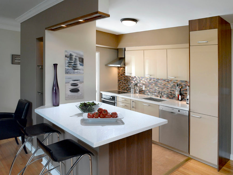 Project 15 - Modern - Kitchen - Vancouver - by Fontile Kitchen & Bath