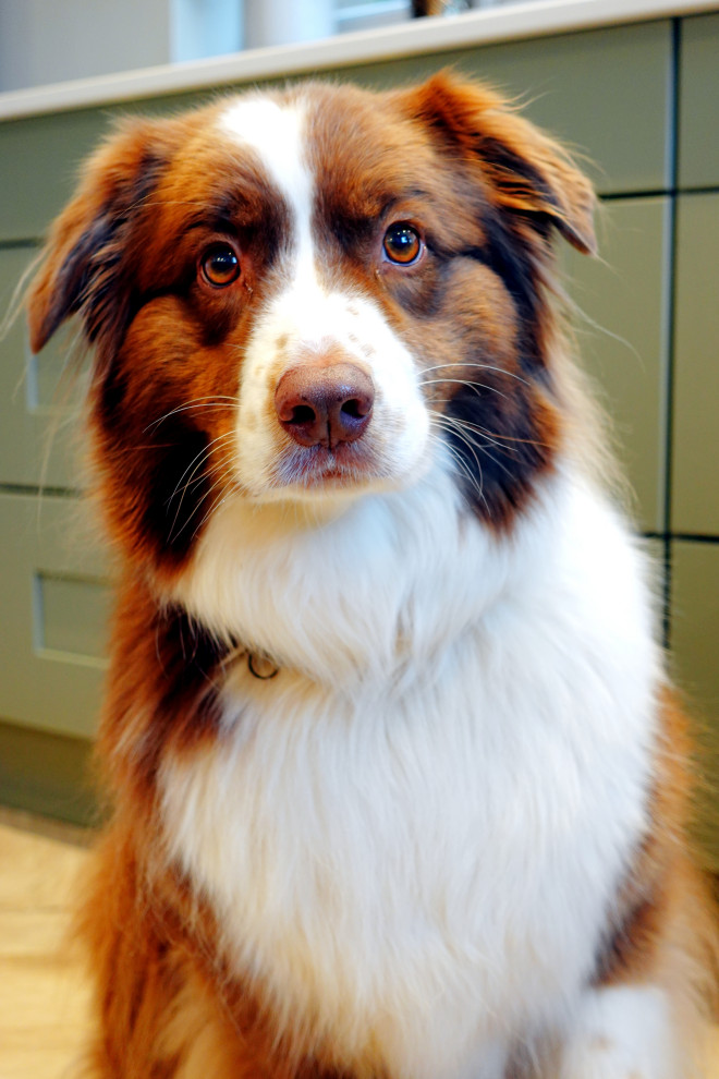 The Desford Kitchen - Colmar - RRP £27,500 - Luxe Price £21,000