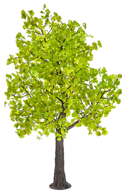 LED Green Gingko Tree - Contemporary - Artificial Plants And Trees - by