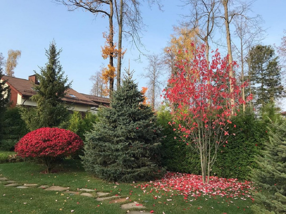 Современный ландшафтный дизайн.