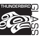 Thunderbird Glass