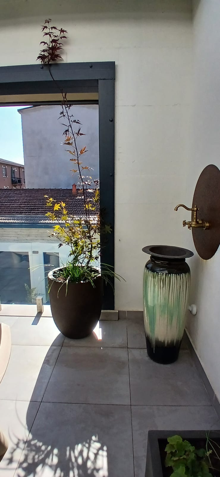 Realizzazione Wild in the city