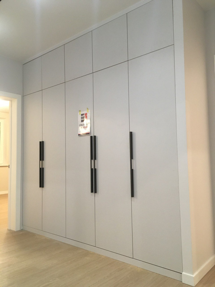 Распашной шкаф в ЛДСП