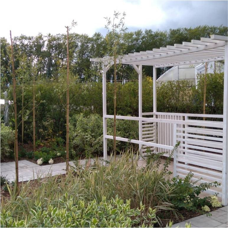 Экспозиция сада "Живая геометрия"