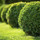 All About Landscaping, LLC