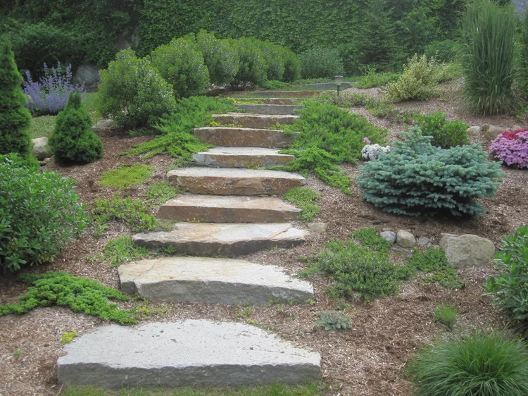 Steppers placed in garden under developement by Peter Atkins and Associates