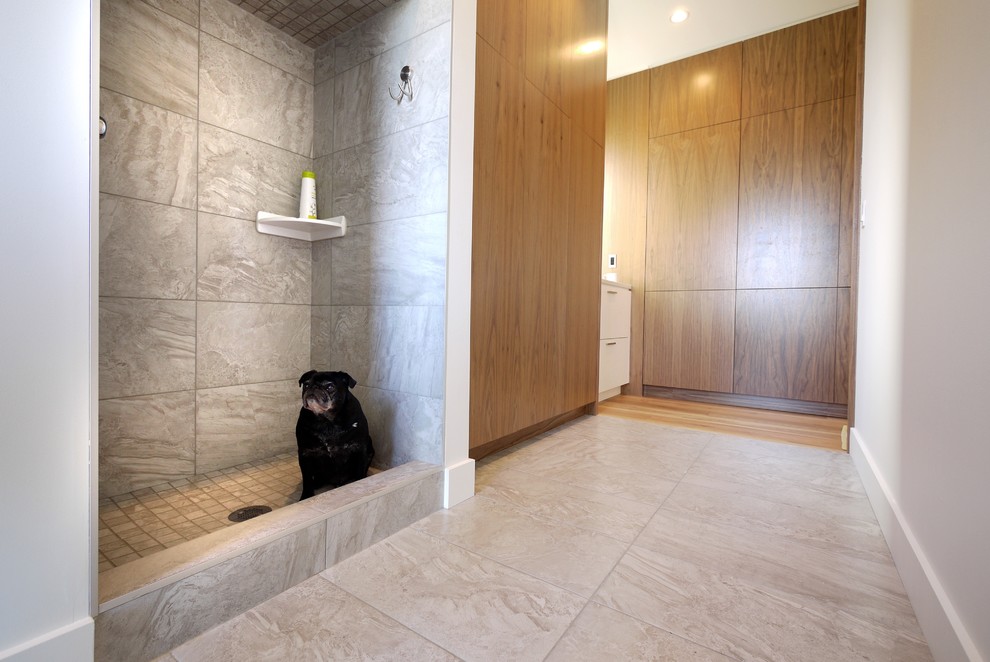 Example of a mid-sized minimalist porcelain tile entryway design in Calgary with white walls and a glass front door